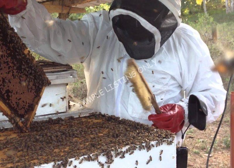 Sweet Zambia Honey